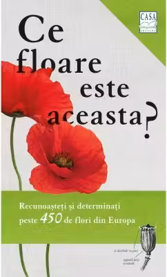 Ce floare este aceasta?