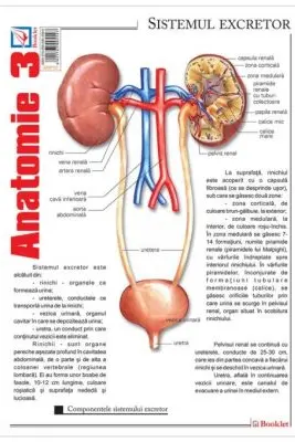 Pliant Anatomie 3