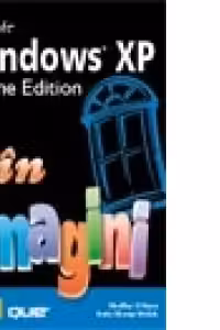 WINDOWS XP IN IMAGINI