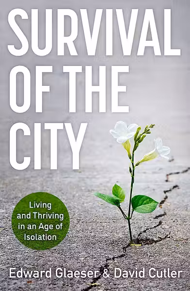 Survival of the City
