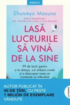 Introspectiv. LASA LUCRURILE SA VINA DE LA SINE.