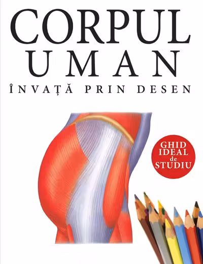 Corpul uman: Invata prin desen
