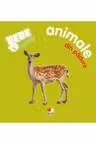 Bebe invata: Animale din padure
