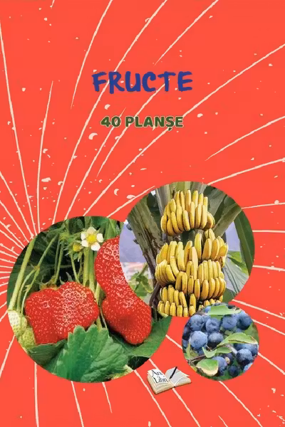 Planse: Fructe