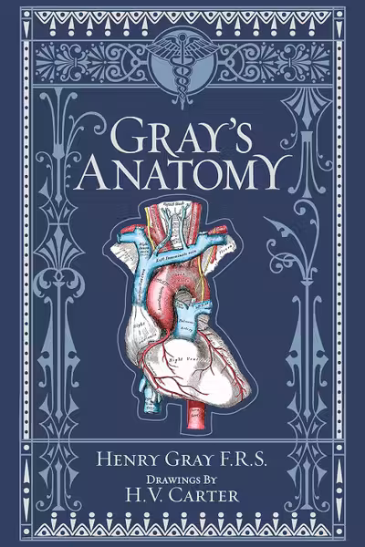 Gray's Anatomy