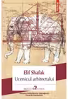 Ucenicul arhitectului