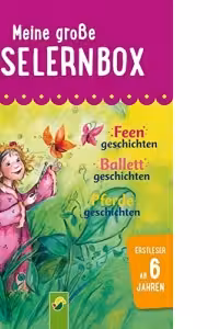 Meine grosse Leselernbox: Feengeschichten, Ballettgeschichten, Pferdegeschichten: Mit 3 Lesestufen (Leselernbuch)
