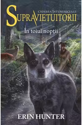 In toiul noptii