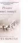 Printre tonuri cenusii