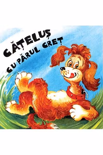 Sa cresti mare catelusi cu parul cret