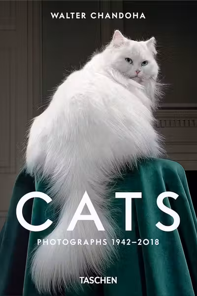 Walter Chandoha. Cats. Photographs 1942–2018