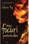 Mici focuri pretutindeni