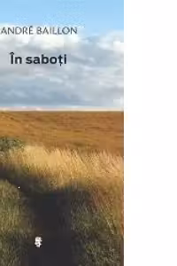 In saboti