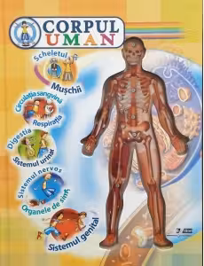 Corpul Uman