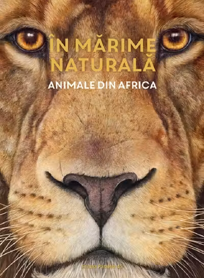 Animale din Africa