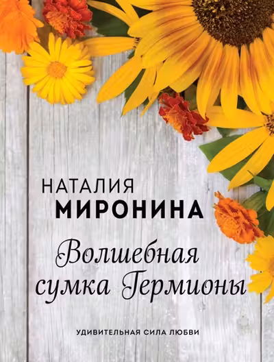 Волшебная сумка Гермионы