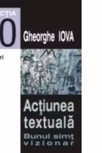 ACTIUNEA TEXTUALA. BUNUL SIMT VIZIONAR