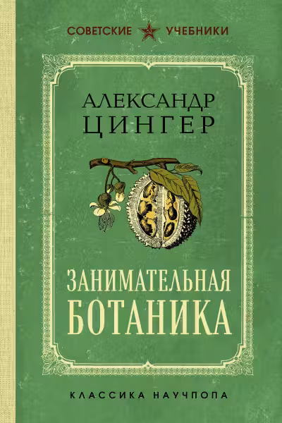 Занимательная ботаника. Цингер