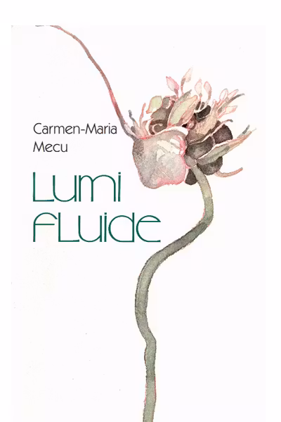 Lumi Fluide