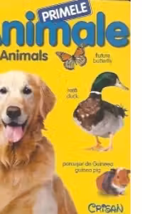 Primele animale. (Primele notiuni). Crisan