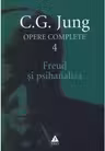 Freud si psihanaliza