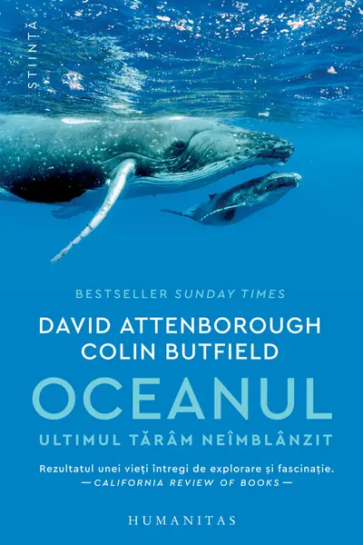 Oceanul