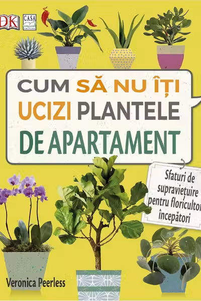 Cum sa nu-ti ucizi plantele de apartament