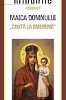 Minunile icoanei Maica Domnului Caută la Smerenie
