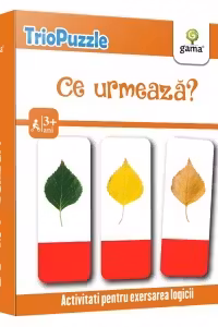Ce urmeaza?