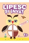 Lipesc si invat. Bufnita