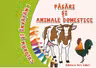 Pasari si animale domestice