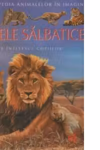 Fiarele Salbatice pe intelesul copiilor - Enciclopedia animalelor in imagini - Editie Cartonata