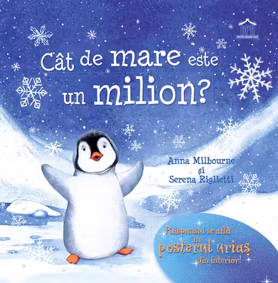 Cat de mare este un milion?