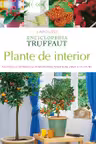 Plante de interior