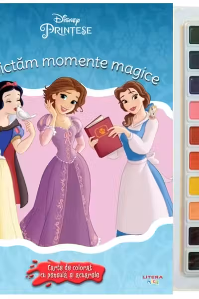 Sa pictam momente magice