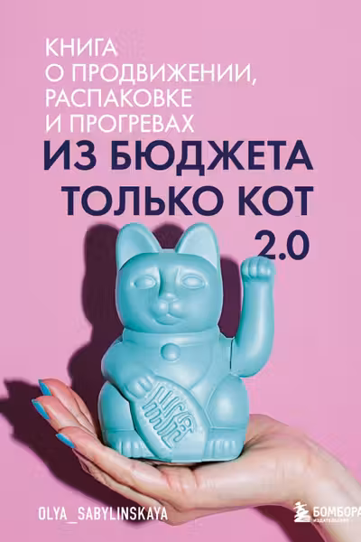 Из бюджета только кот 2.0