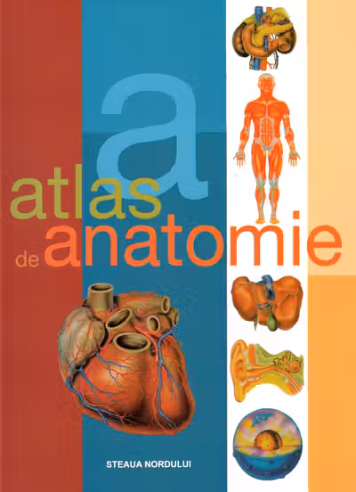 Atlas de anatomie