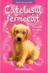 Prima mea lectura. Catelusul fermecat. Un nou inceput