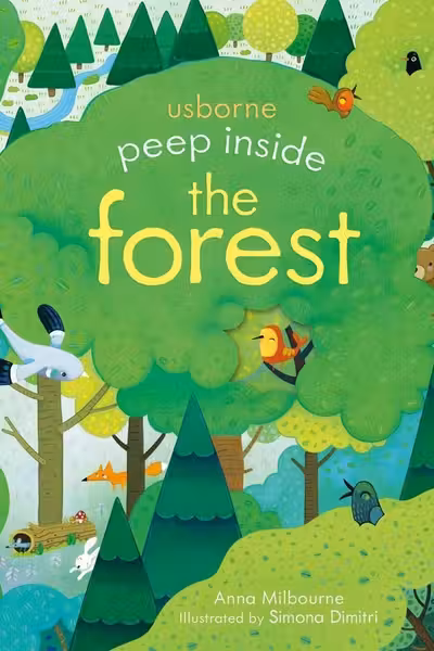 Peep Inside the Forest