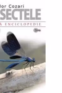 INSECTELE. MICA ENCICLOPEDIE