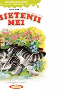 Prietenii mei