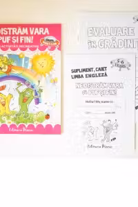 Pachet evaluare finala in gradinita Ne distram vara cu Puf si Fin, 6 ani