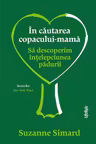 In cautarea copacului-mama