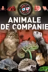 Animale de companie 3D