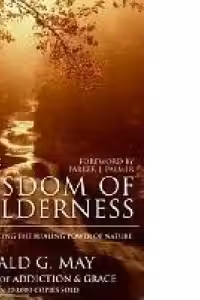 The Wisdom of Wilderness: Experiencing the Healing Power of Nature