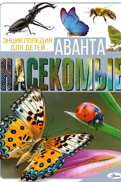 Насекомые