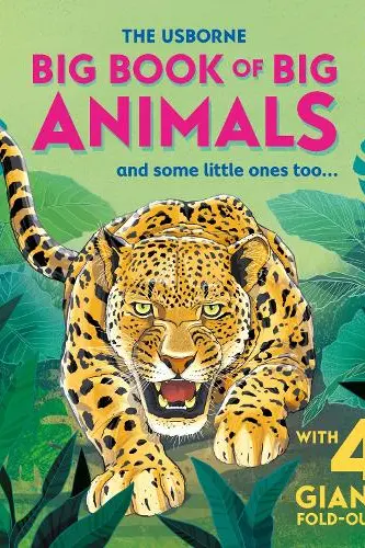 Big Book of Big Animals
