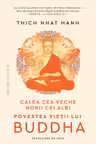 Calea cea veche norii cei albi