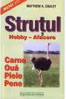 Strutul hobby-afacere