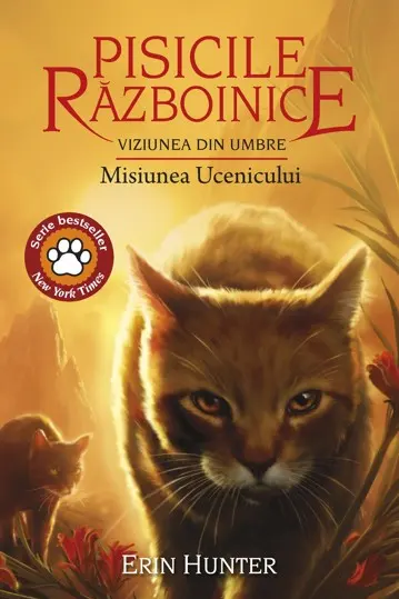 Pisicile Razboinice. vol 31 Viziunea din umbre: Misiunea Ucenicului